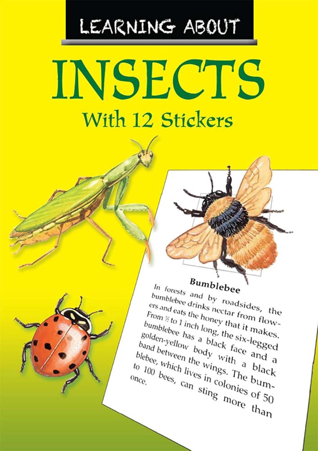 Learning About Insects - With 12 Stickers
