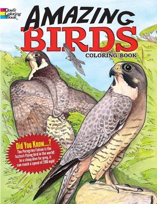 Amazing Birds by Ruth Soffer