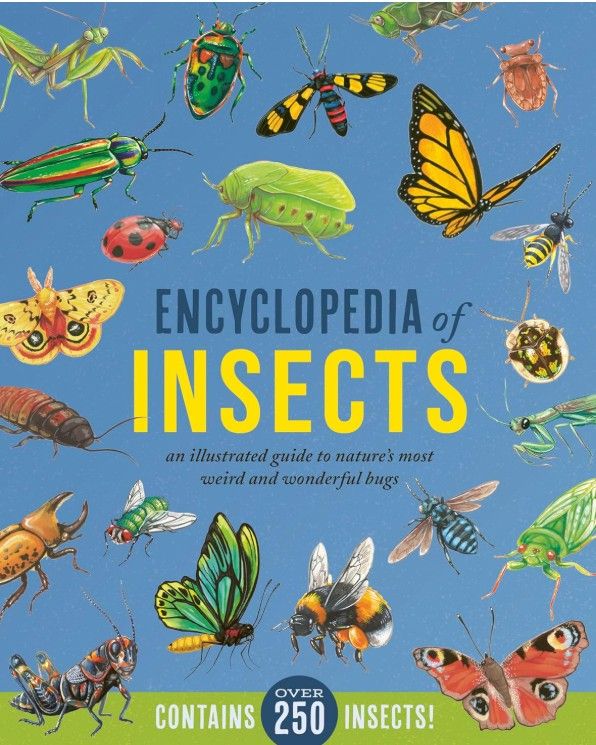 Encyclopedia of Insects by Jules Howard