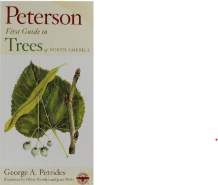 Peterson First Guide to Trees by George Petrides
