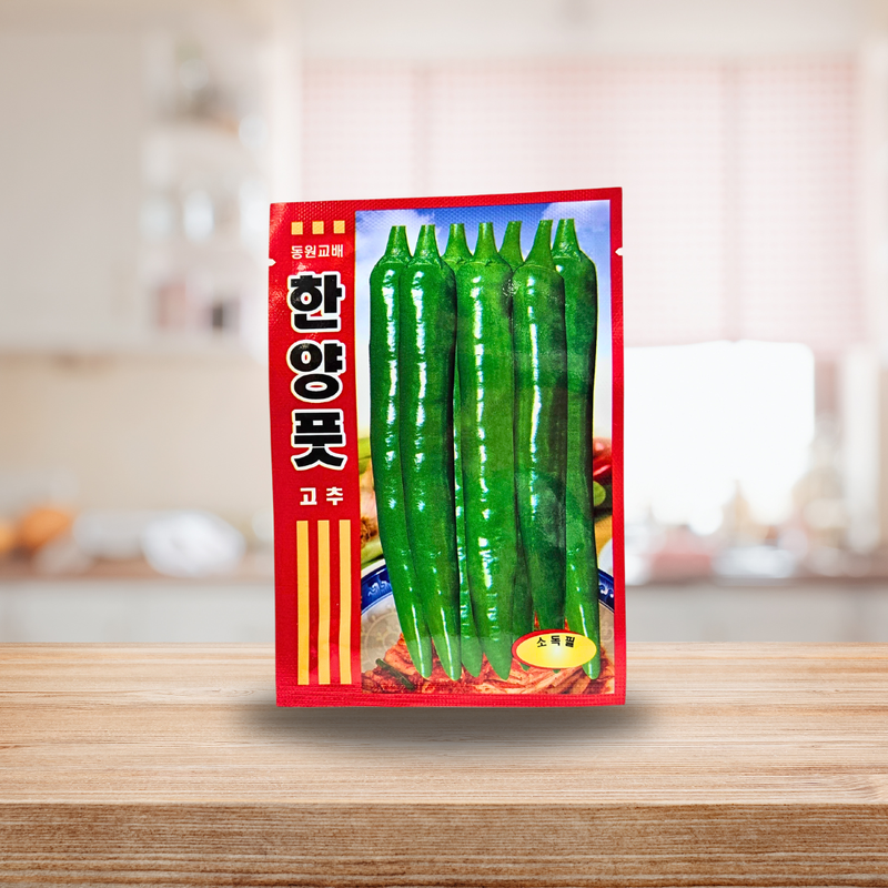 Hanyang Flavor Chili Pepper Seeds