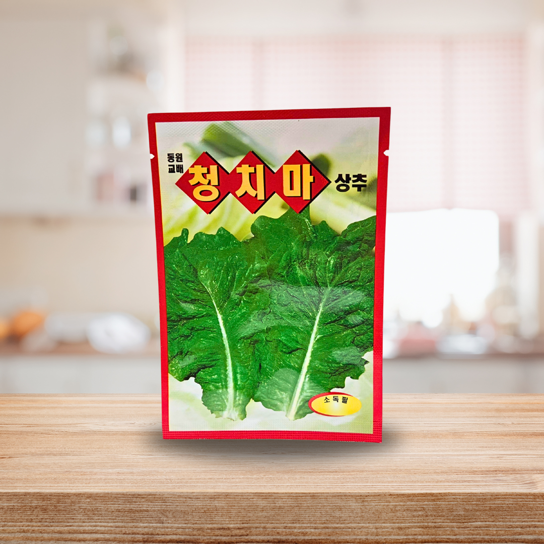 Cheongchima Lettuce Seeds