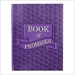 Book of Promises Mini