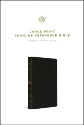 ESV Large Print Thinline Reference Bible