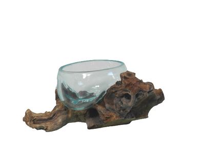 MISA SZKLANA NA KORZENIU 15 CM