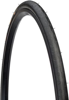 Continental Super Sport Plus Tire - 700 x 25, Clincher, Wire, Black, Plus Breaker