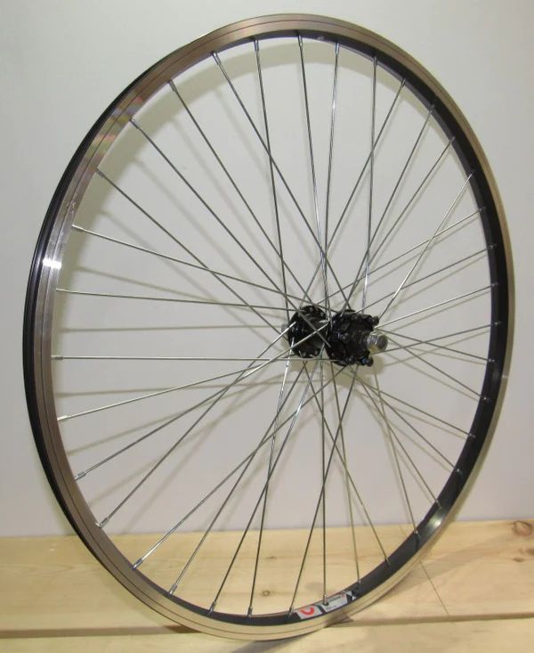 WHL FT 26x1.5 559x19 ALY BK MSW 36 ALY 6B QR BK 14gBK