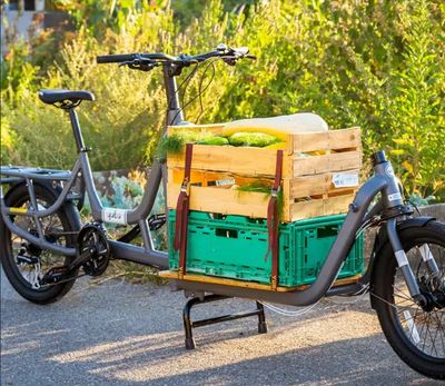 YUBA, Supercargo, Cargo Bicycle, 20&#39;&#39; Grey