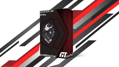 S4 &amp; S5 B9 &amp; B9.5 Gt-flasher Stage 2 Package