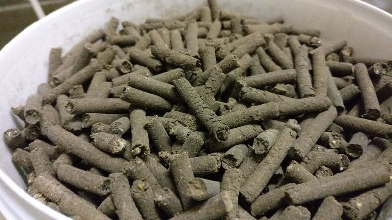 2,2 Kg Hühnermist-Pellets – 100 % natürlicher Dünger