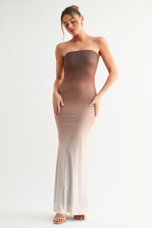 Ombre Strapless Dress
