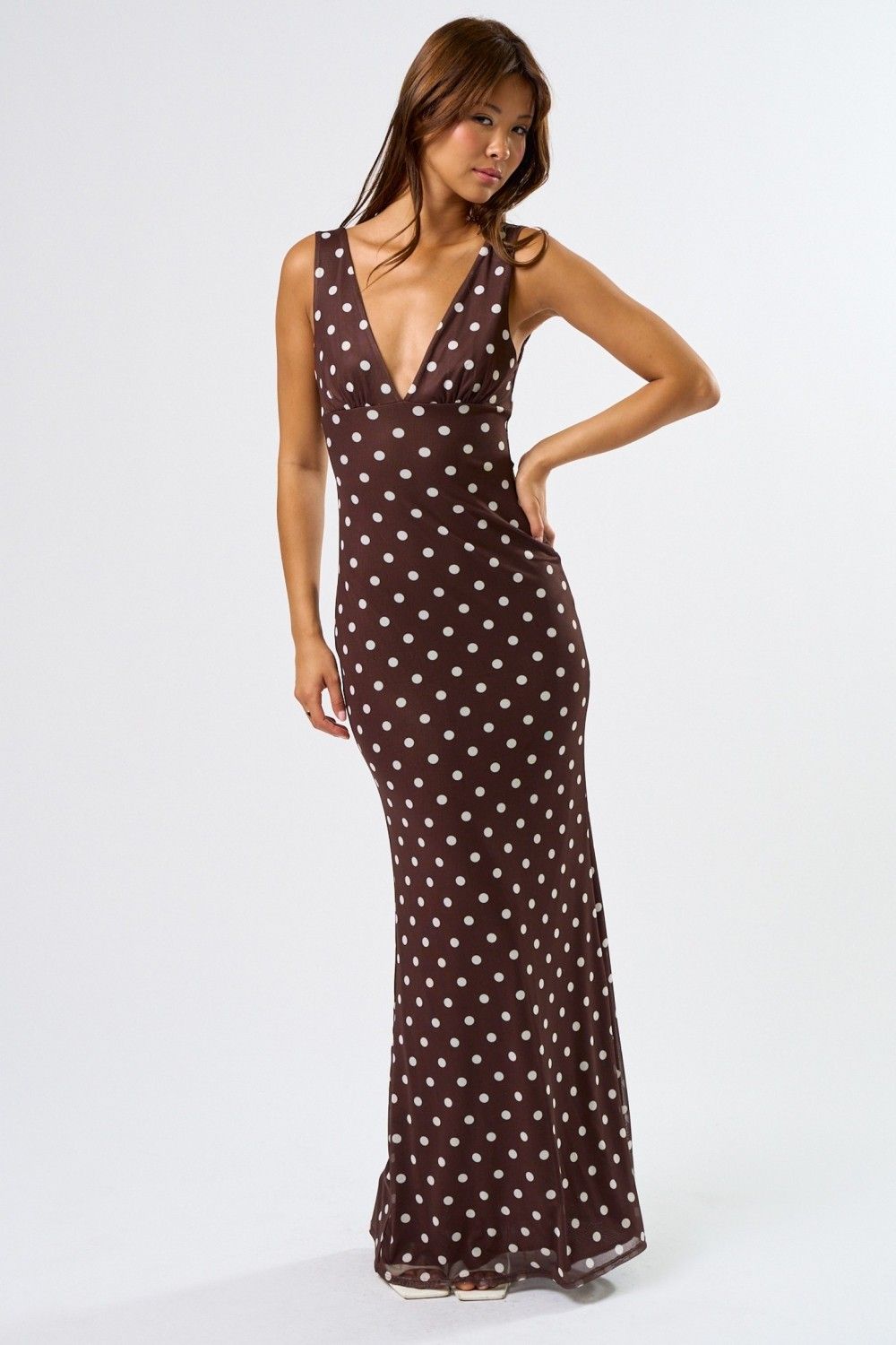 Polka Dot Mesh Maxi Dress