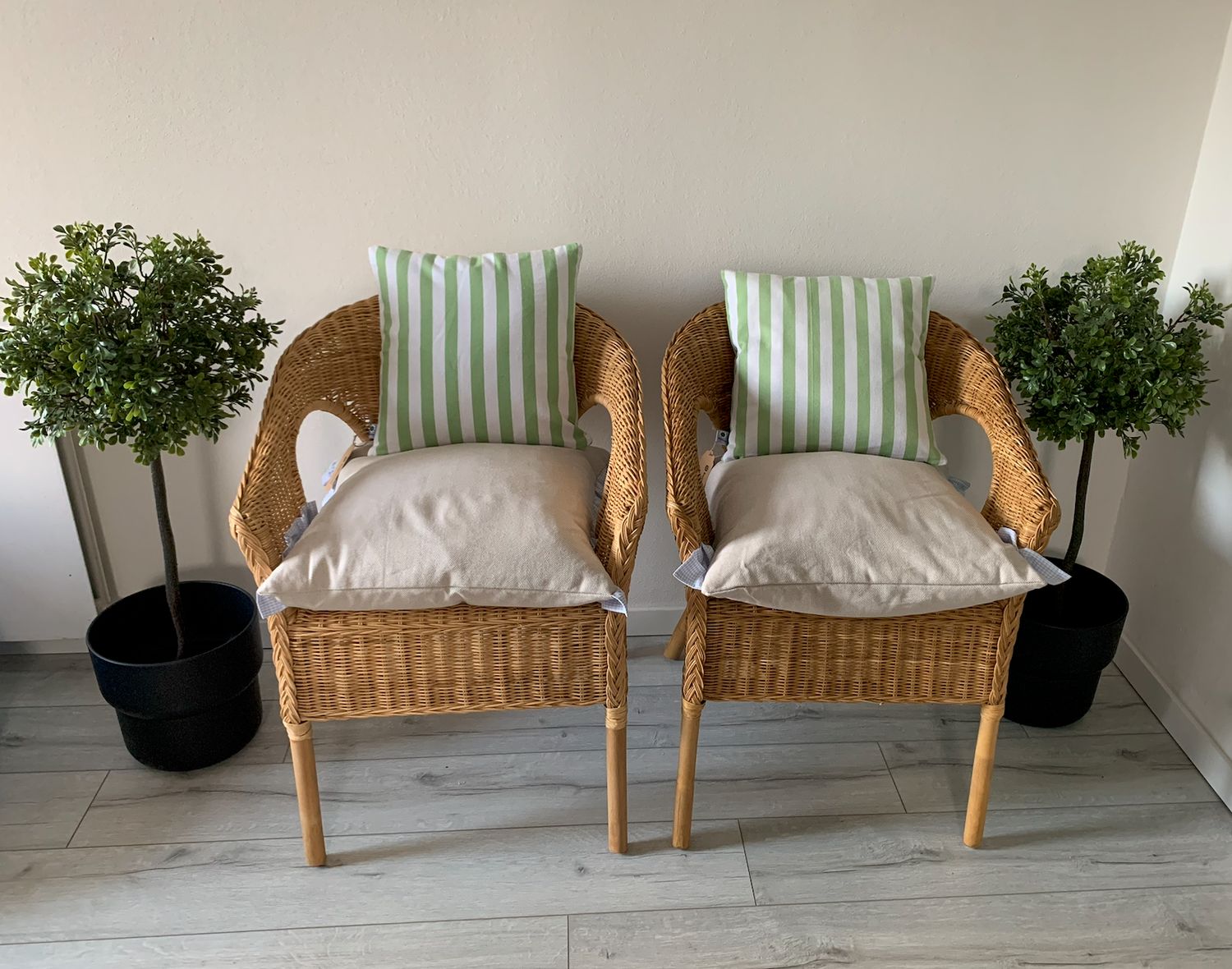 cotton cushion cover