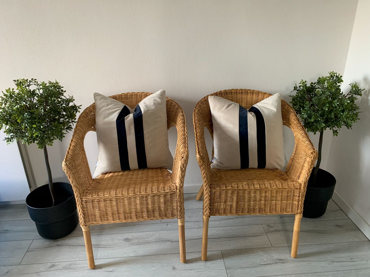 velvet cushion cover