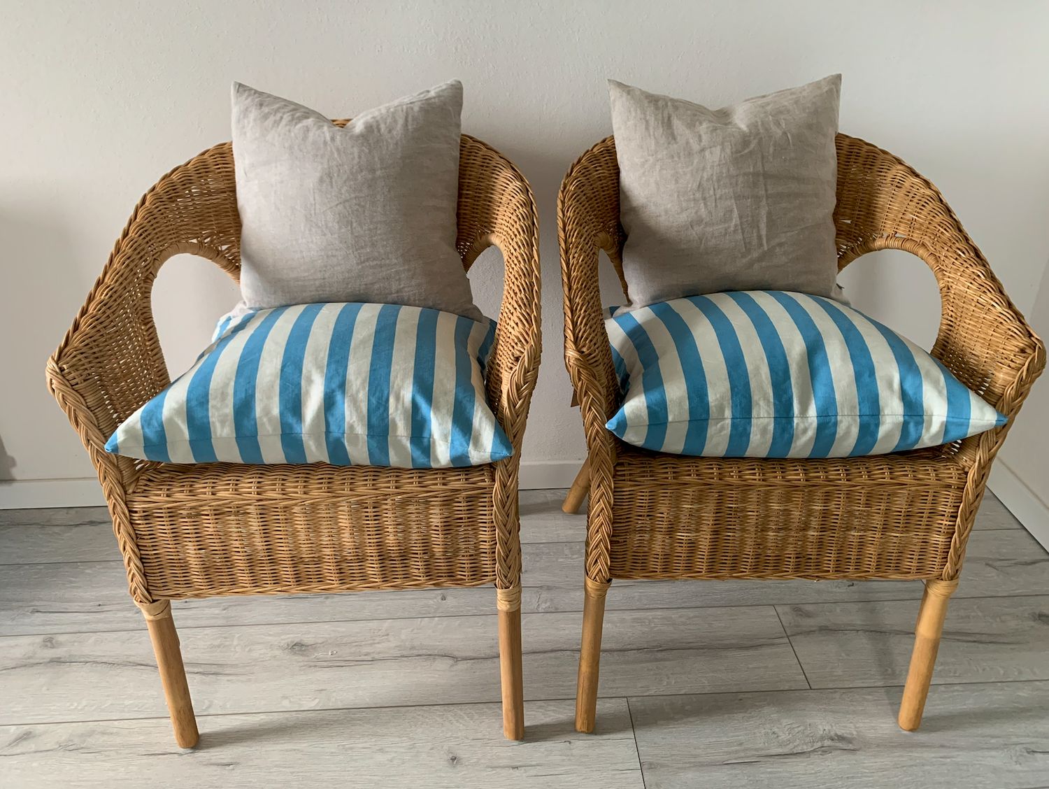 cotton canvas cushion cover