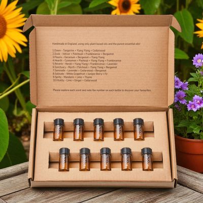 Reed Diffuser Discovery Set