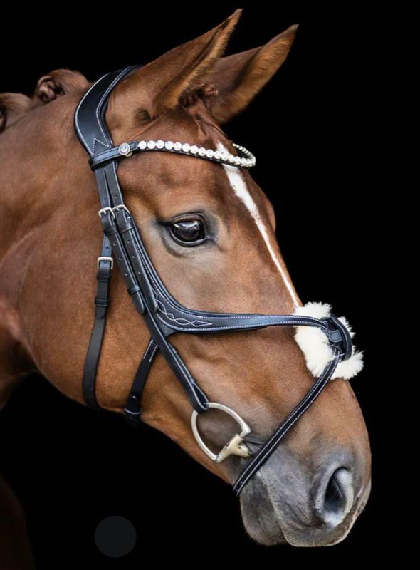 TESTIERE E ACCESSORI