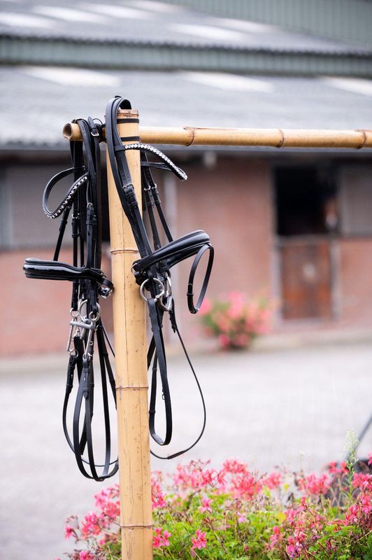 ACCESSORI PER TESTIERE