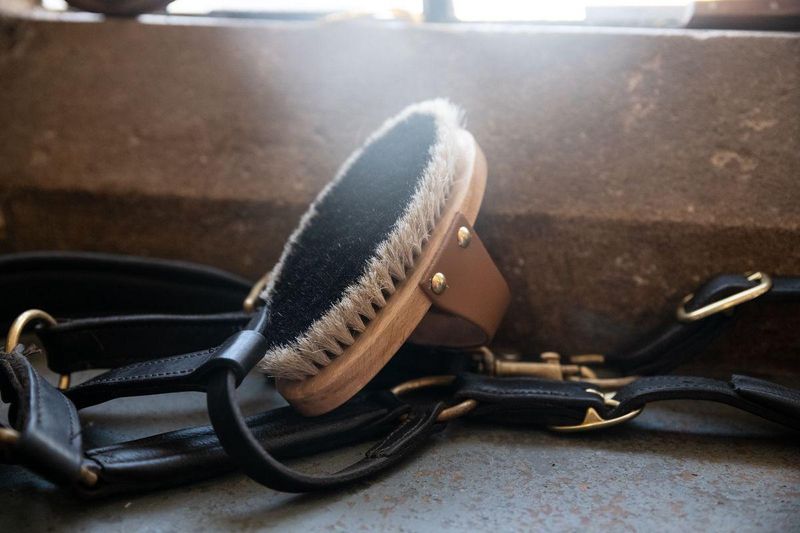 ARTICOLI PER LA PULIZIA E GROOMING