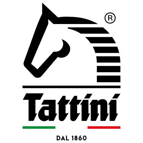 TATTINI