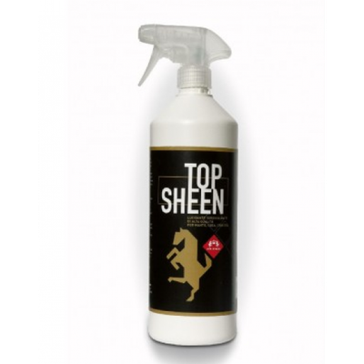 TOP SHEEN 1LT
