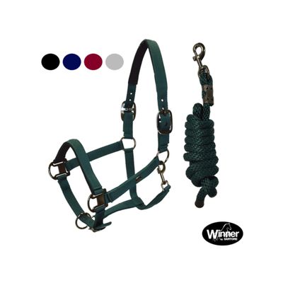 SET CAVEZZA IMBOTTITA + LUNGHINA FIBBIE SATINATE WINNER