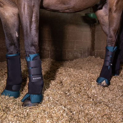 SET 4 STABLE BOOTS D'ISTINTO