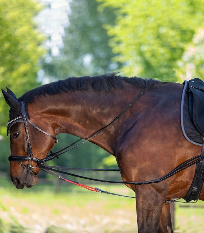 W-TRAIN REIN WALDHAUSEN