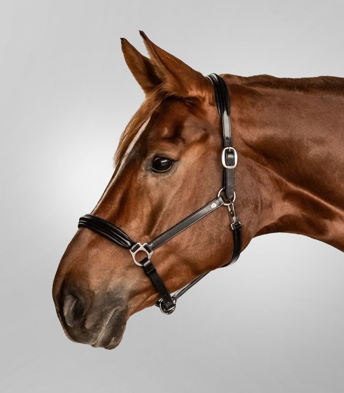 CAPEZZA IN CUOIO WALDHAUSEN S-LINE CLASSY