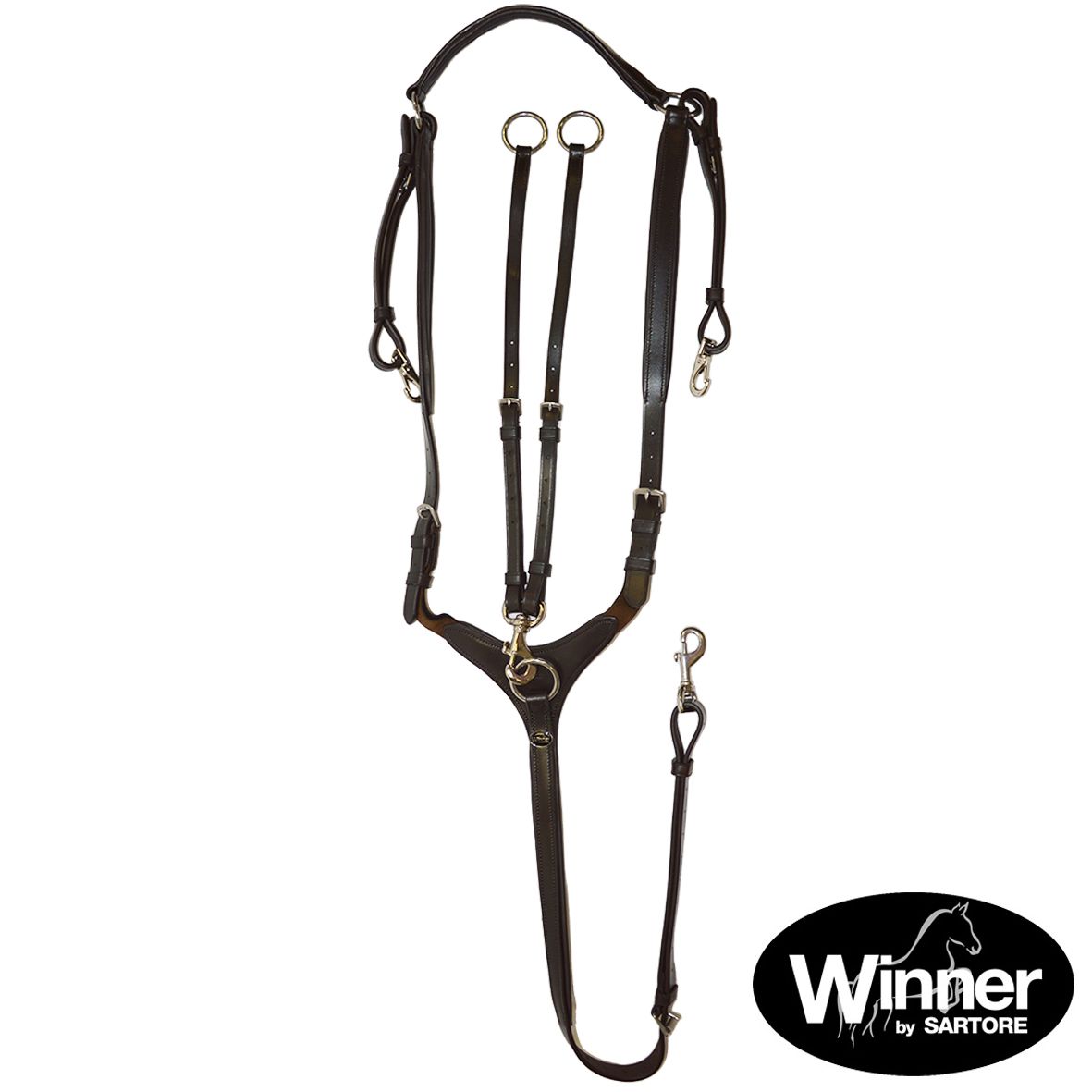 MARTINGALA DA CACCIA WINNER