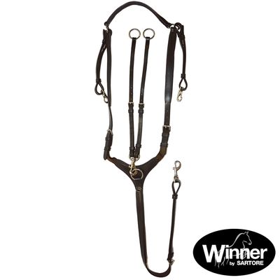 MARTINGALA DA CACCIA WINNER