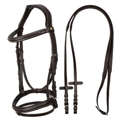 TESTIERA RIALZATA EQUESTRO CON REDINI