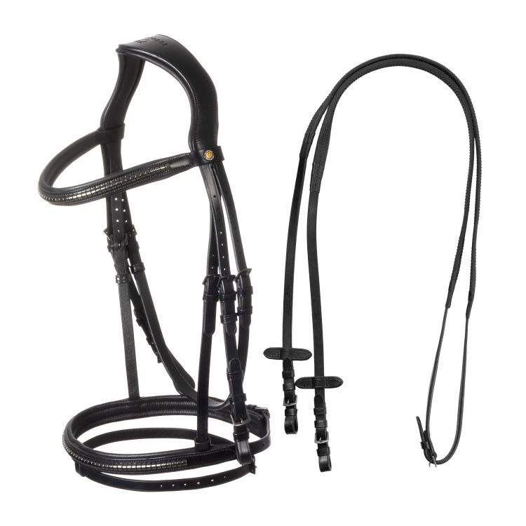 TESTIETA INGLESE CON CLINCHER NERO EQUESTRO