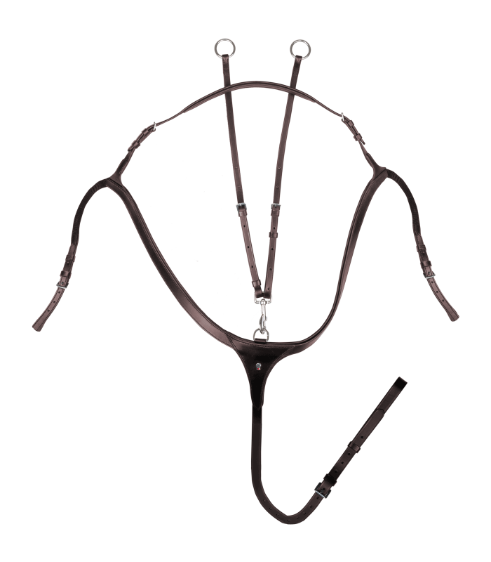 PETTORALE WALDHAUSEN X LINE