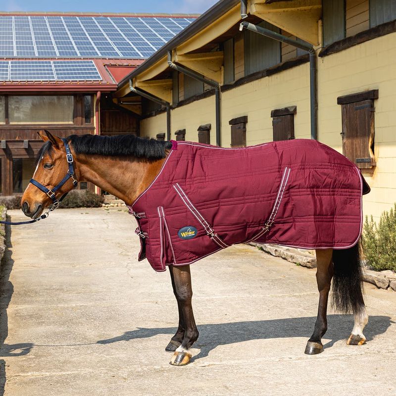 PIUMONE DA BOX 350 GR WINNER