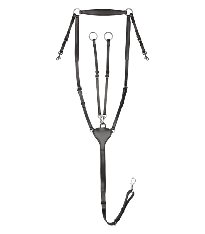 PETTORALE WALDHAUSEN X-LINE