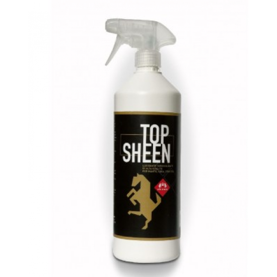TOP SHEEN 1LT