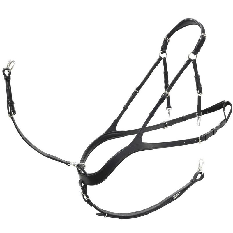 PETTORALE ANATOMICO SARTORE