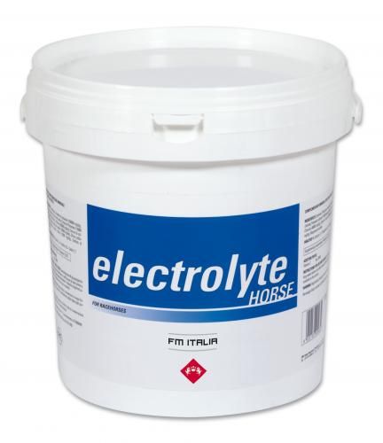 ELECTROLYTE HORSE ELECTROLYTE HORSE