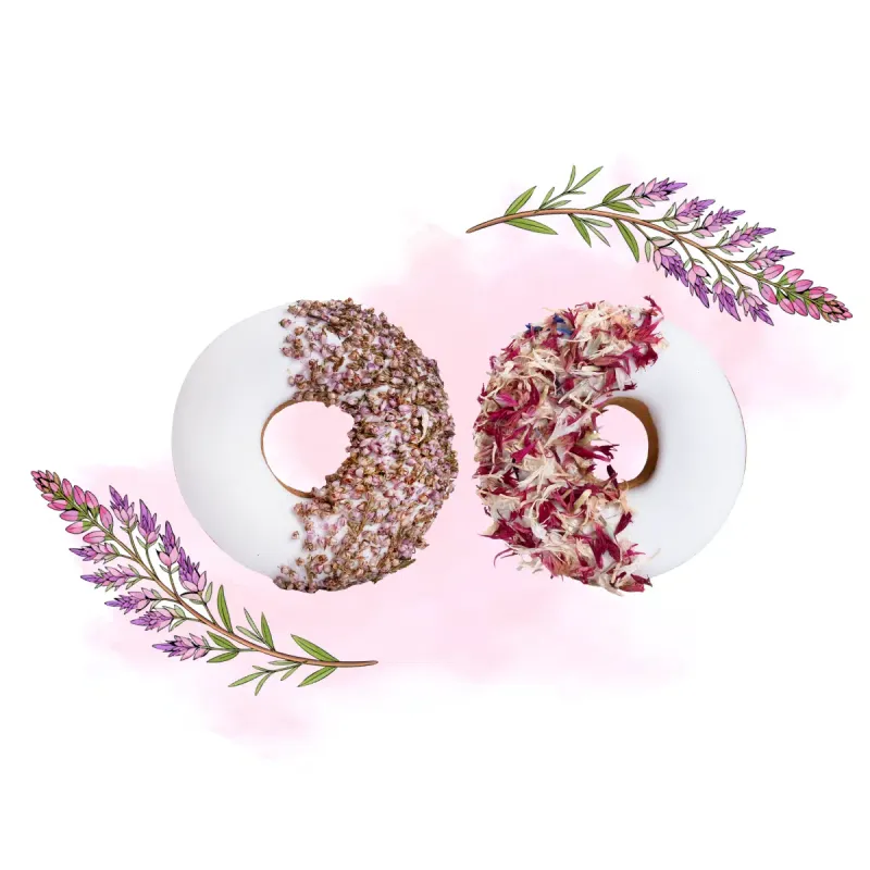 DONUTS SAN VALENTINO CON GLASSA ED ERBE CANDY HORSE