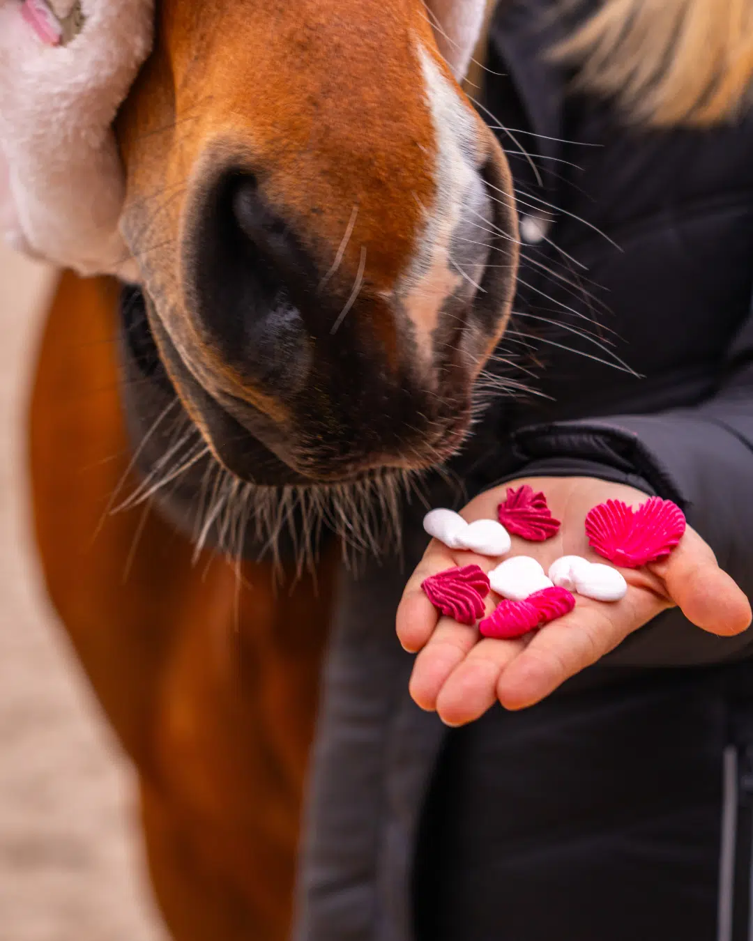 BISCOTTI MERINGA CANDY HORSE