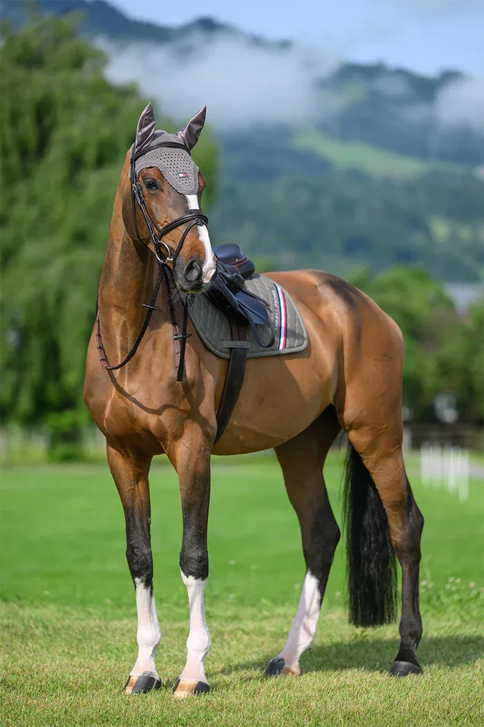 SET SOTTOSELLA E CUFFIA TOMMY ASH