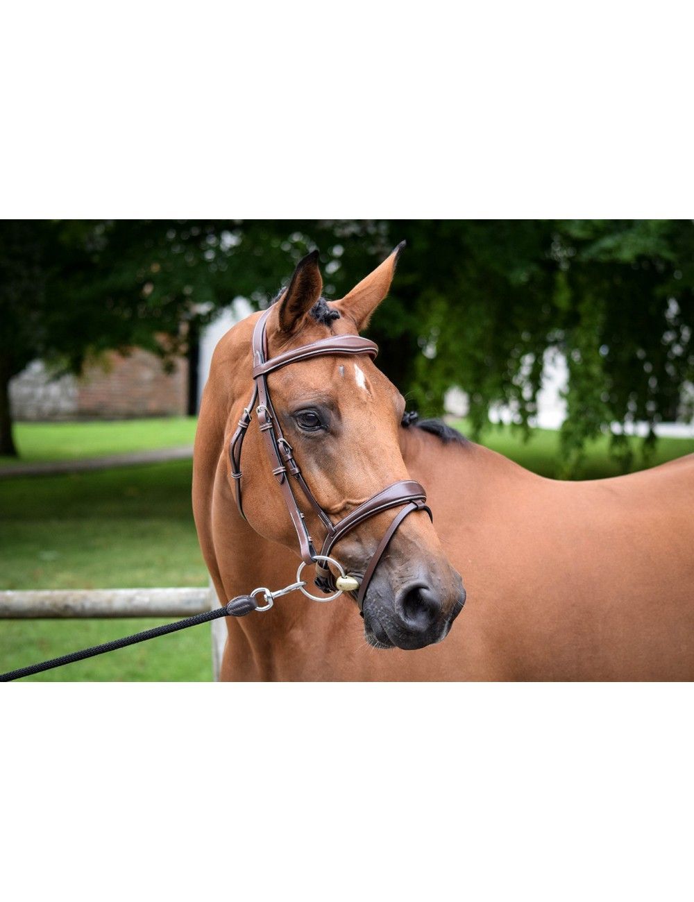 TESTIERA BRUXELLES JUMP-IN COB MARRONE