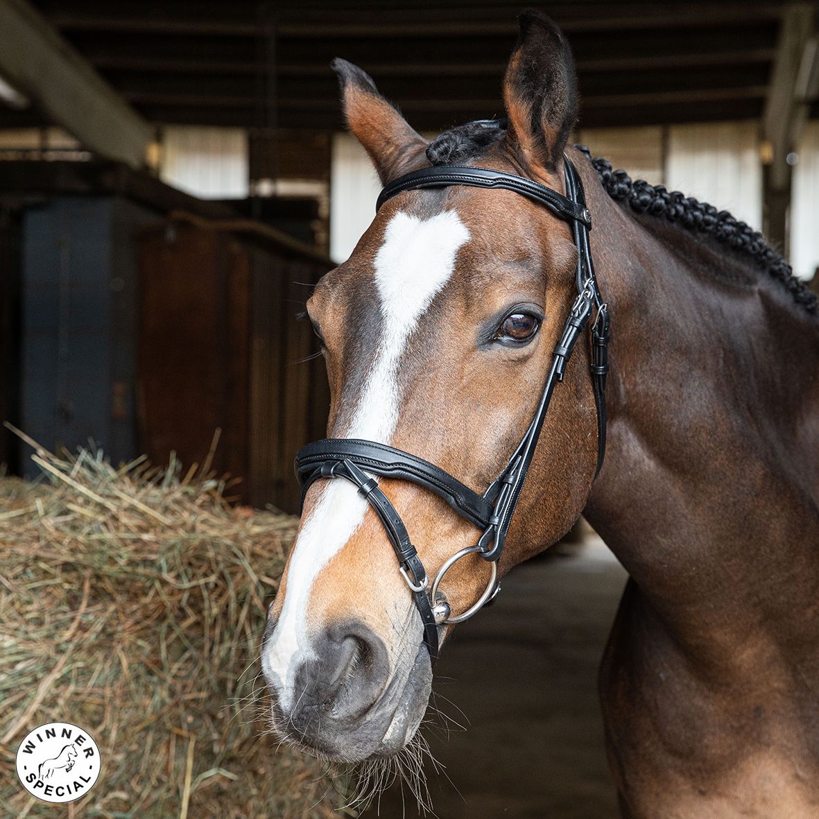 BRIGLIA WINNER SPECIAL CUOIO FULL