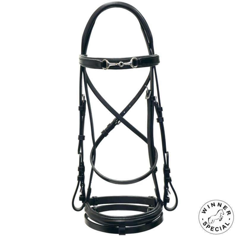 BRIGLIA CON MORSETTO NICHELATO FULL