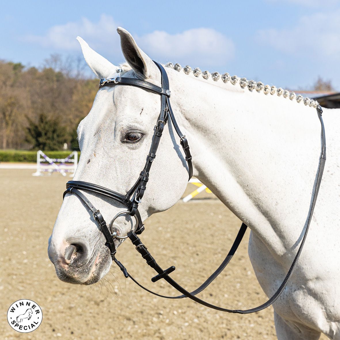 BRIGLIA CON MORSETTO NICHELATO FULL