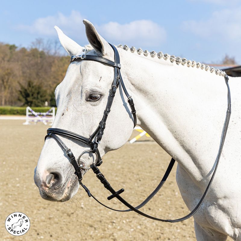 BRIGLIA CON MORSETTO NICHELATO FULL