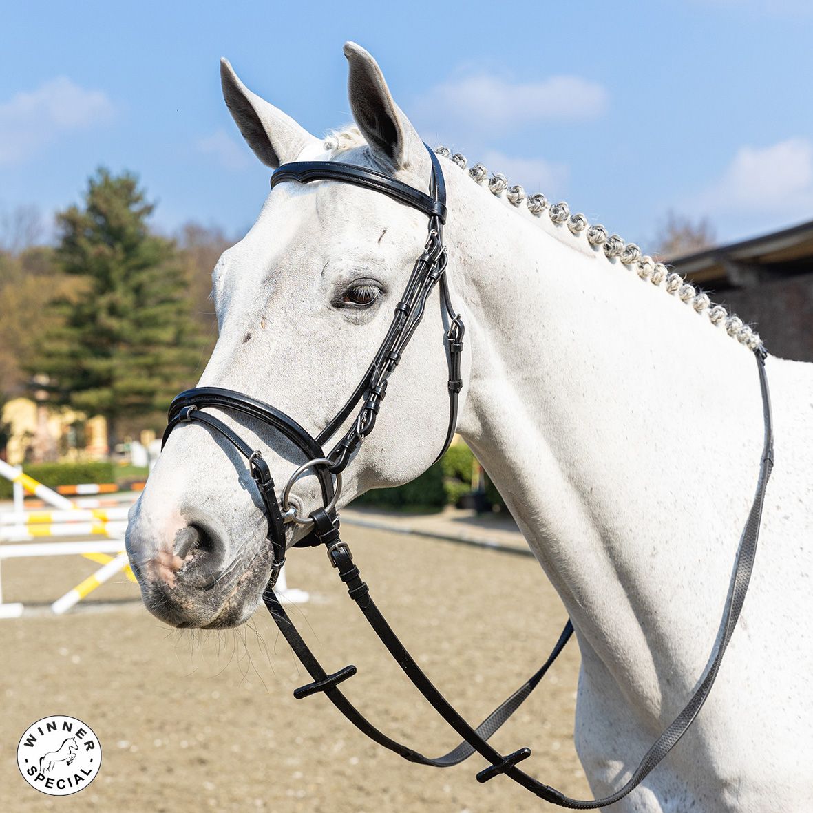 BRIGLIA FRONTALINO SAGOMATO FULL