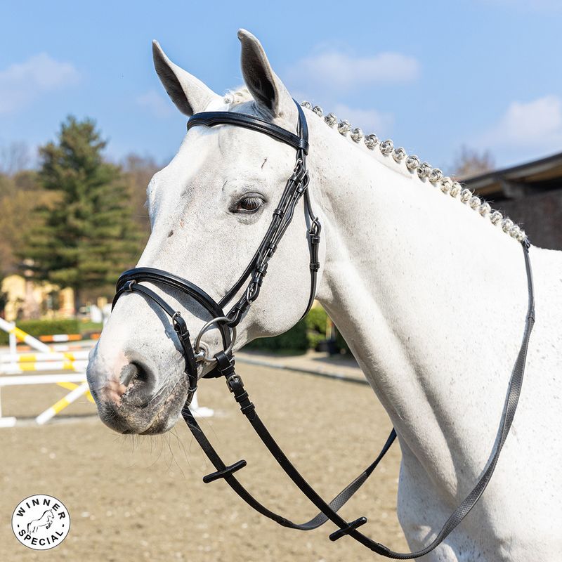 BRIGLIA FRONTALINO SAGOMATO FULL