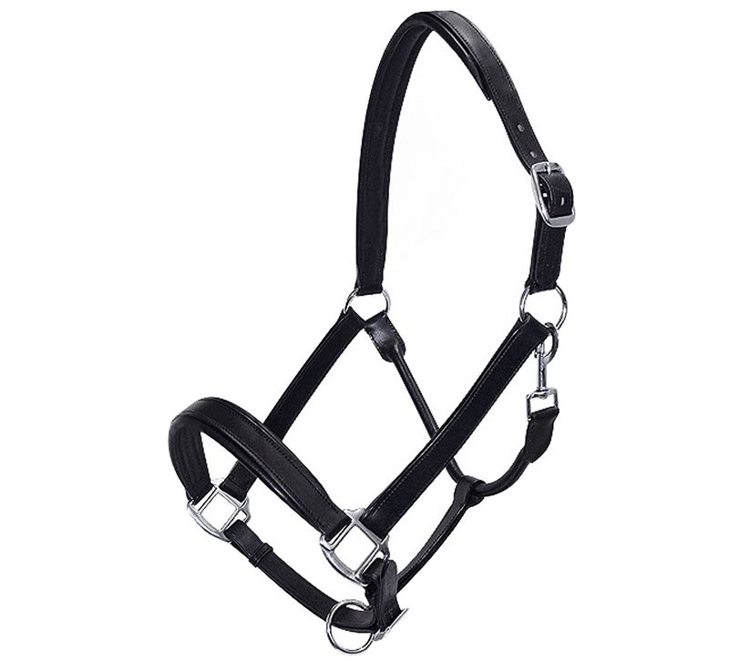 CAVEZZA IN CUOIO IMBOTTITA BASIC LINE NICHELATA FULL